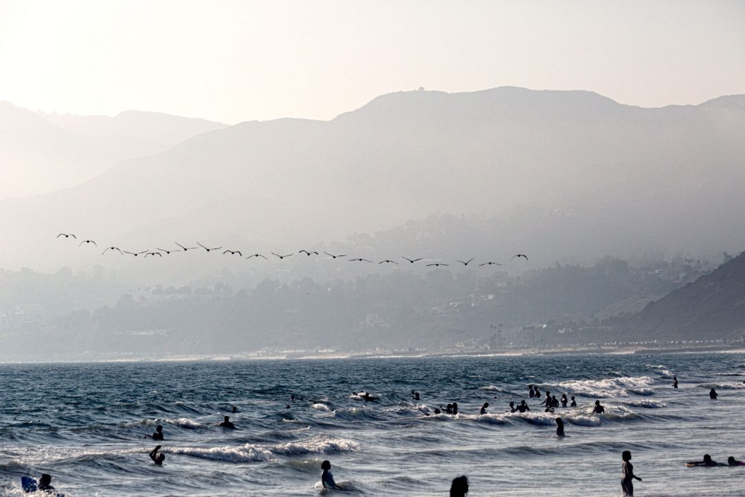 Blog10