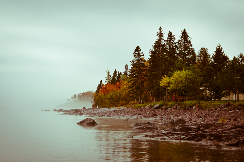 dull-trees-lakeshore